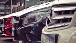 Free cars is here, come and take them all home